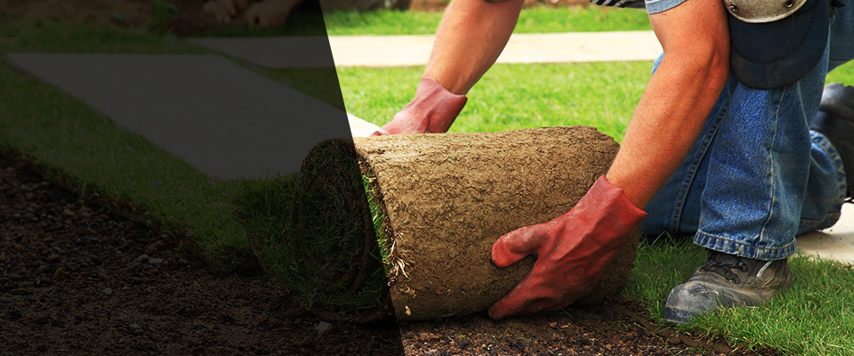 Rockaway Park Landscapers